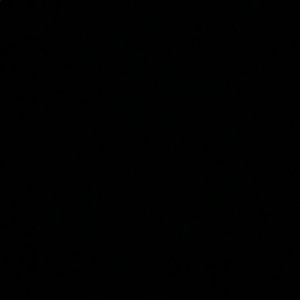 Meet your Posher, Laila